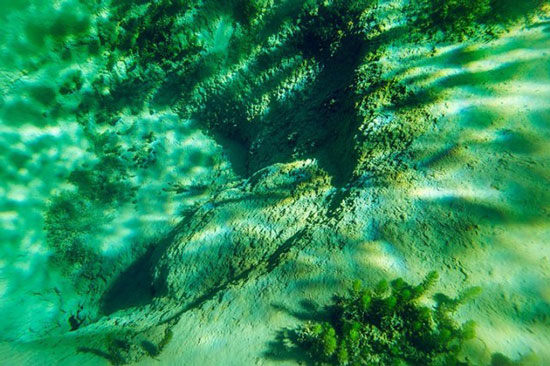 Blue Lake, Danau Keren Di Selandia Baru Yang Bisa Buat Ngaca